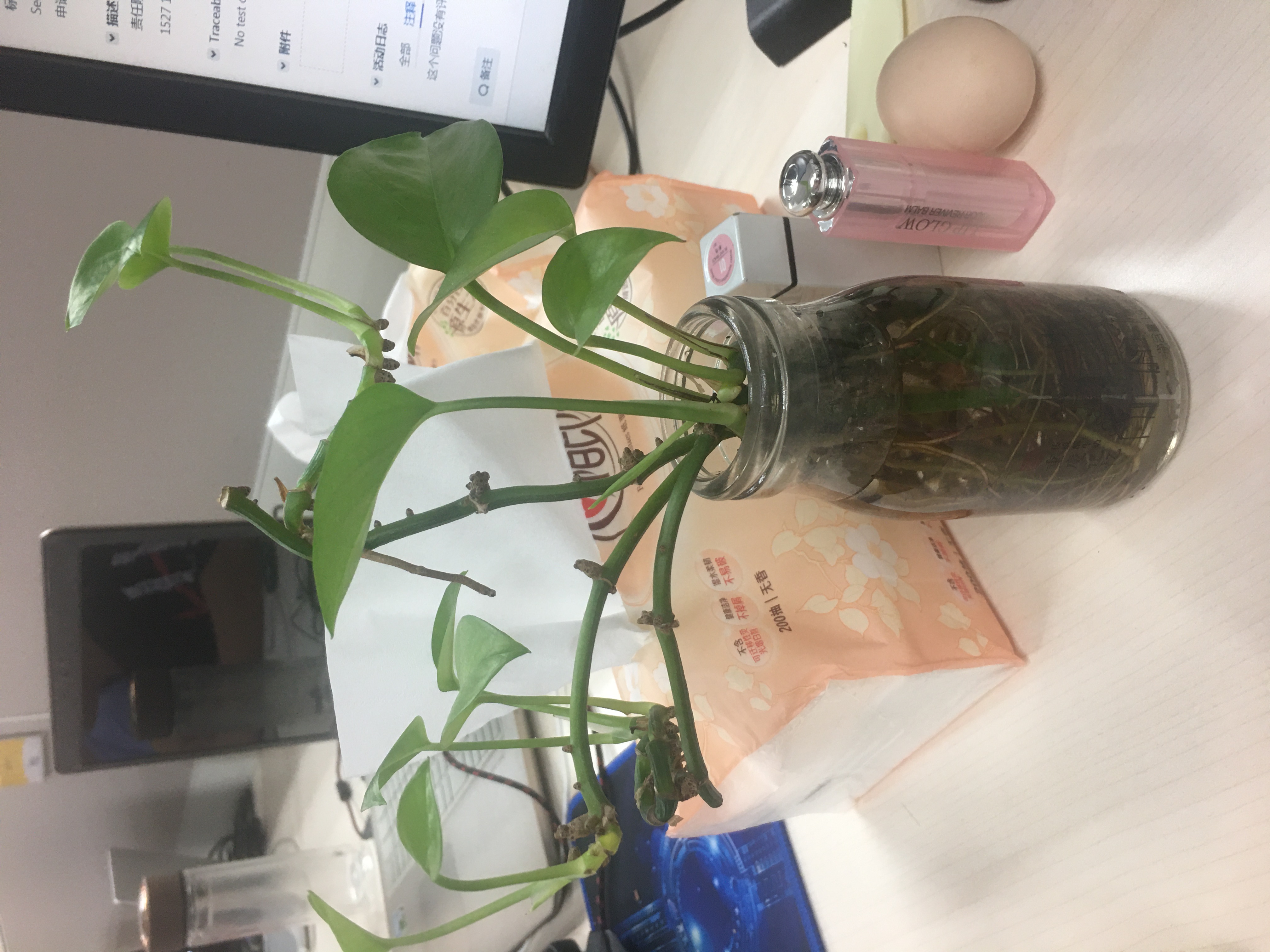科大讯飞标识